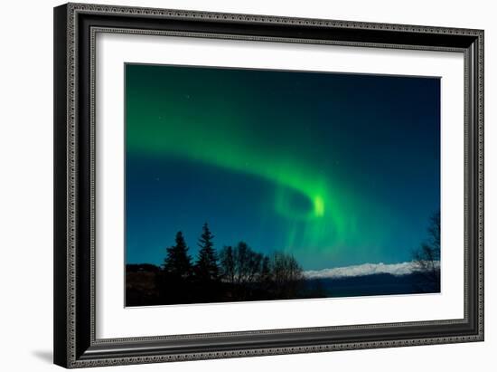 Strong Curled Green Aurora-Latitude 59 LLP-Framed Photographic Print