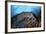 Strong Current Sweeps Along a Reef Slope in Indonesia-Stocktrek Images-Framed Photographic Print