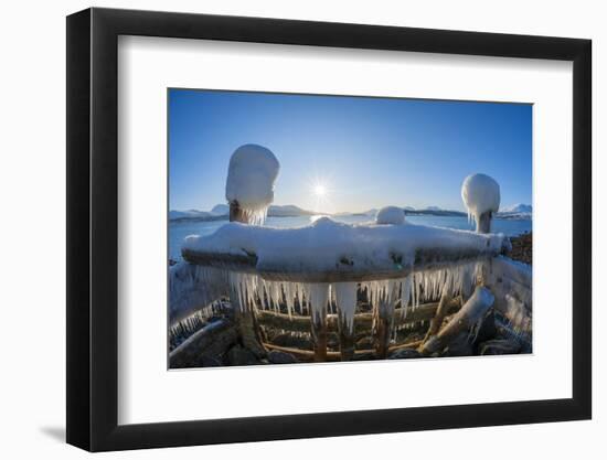 Strongly iced pier with sun in winter, Nordbotn, Tromso, Troms, Norway-Raimund Linke-Framed Photographic Print