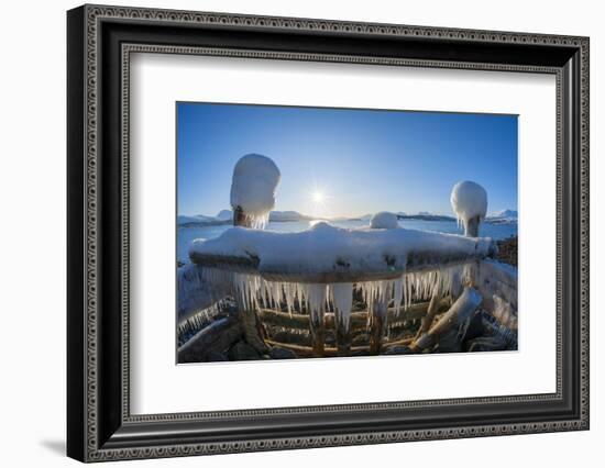 Strongly iced pier with sun in winter, Nordbotn, Tromso, Troms, Norway-Raimund Linke-Framed Photographic Print