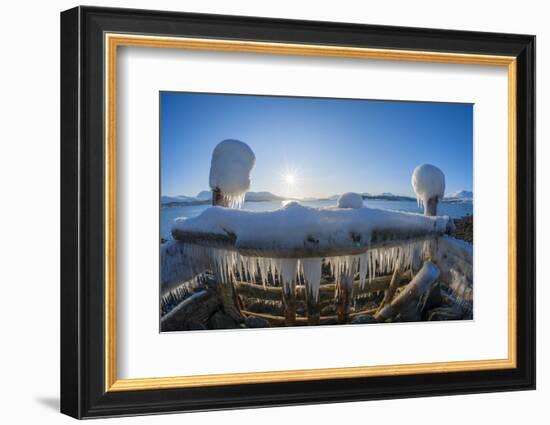 Strongly iced pier with sun in winter, Nordbotn, Tromso, Troms, Norway-Raimund Linke-Framed Photographic Print