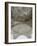 Structural Detail-Nathan Larson-Framed Photographic Print