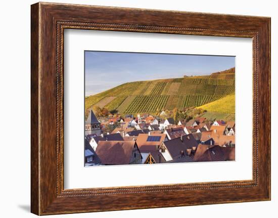 Strumpfelbach with Vineyards in Autumn, Baden Wurttemberg, Germany-Markus Lange-Framed Photographic Print