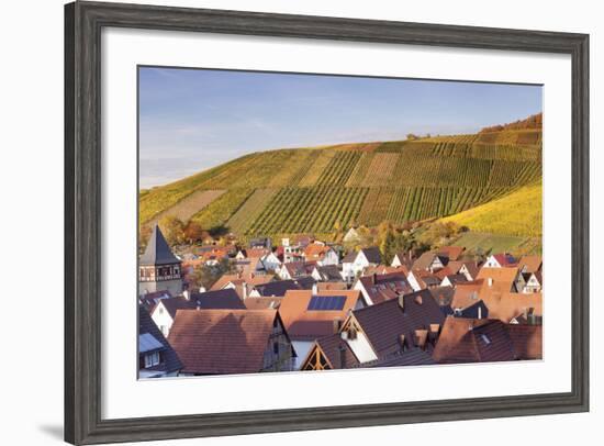 Strumpfelbach with Vineyards in Autumn, Baden Wurttemberg, Germany-Markus Lange-Framed Photographic Print