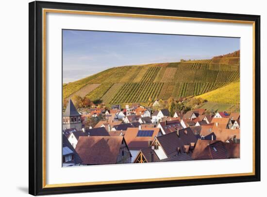 Strumpfelbach with Vineyards in Autumn, Baden Wurttemberg, Germany-Markus Lange-Framed Photographic Print