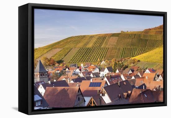 Strumpfelbach with Vineyards in Autumn, Baden Wurttemberg, Germany-Markus Lange-Framed Premier Image Canvas