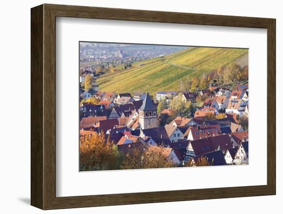 Strumpfelbach with Vineyards in Autumn, Baden Wurttemberg, Germany-Markus Lange-Framed Photographic Print