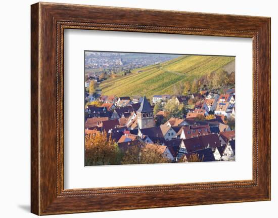 Strumpfelbach with Vineyards in Autumn, Baden Wurttemberg, Germany-Markus Lange-Framed Photographic Print