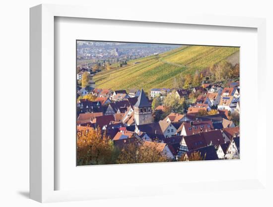 Strumpfelbach with Vineyards in Autumn, Baden Wurttemberg, Germany-Markus Lange-Framed Photographic Print