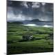 Premium Photographic Print
