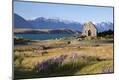 Photographic Print