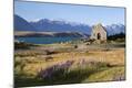 Photographic Print