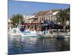 Premium Photographic Print