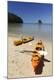 Photographic Print
