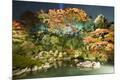 Premium Photographic Print