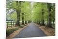 Photographic Print