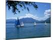 Premium Photographic Print