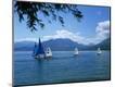 Photographic Print