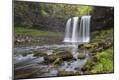 Photographic Print