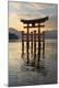 Premium Photographic Print