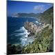 Premium Photographic Print