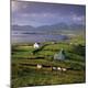 Premium Photographic Print