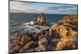 Photographic Print