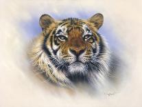Tiger, Tiger, Burning Bright-Stuart Coffield-Giclee Print