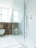 Shower Screen and Toilet in Coach House of Orchard Cottage Conversion, UK-Stuart Cox-Photo