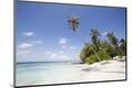 Premium Photographic Print