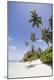 Premium Photographic Print