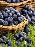 Fresh Blueberries in Wicker Baskets-Stuart MacGregor-Framed Photographic Print