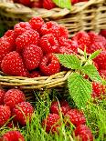 Fresh Raspberries and Blackberries in a Basket-Stuart MacGregor-Framed Photographic Print