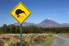 Mount Ngauruhoe with Kiwi Crossing Sign-Stuart-Photographic Print