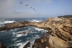 Point Lobos State Natural Reserve-Stuart-Photographic Print