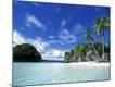 Premium Photographic Print