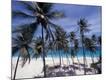 Premium Photographic Print