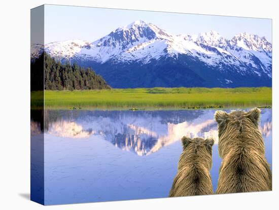 Stretched Canvas Print, , large