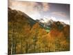 Photographic Print