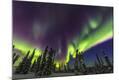 Premium Photographic Print