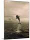 Premium Photographic Print
