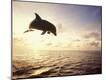 Premium Photographic Print