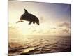 Premium Photographic Print