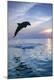 Premium Photographic Print