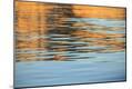 Premium Photographic Print