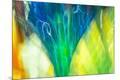 Premium Photographic Print