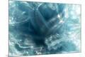 Premium Photographic Print