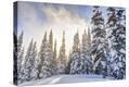 Stretched Canvas Print