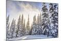 Photographic Print