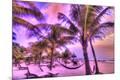 Photographic Print